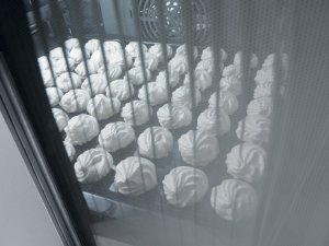 Karim Rashid Gorenje 4